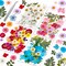 153-Piece Dried Pressed Flowers for Crafts – Real Wildflowers & Leaves for Resin, Jewelry, Candle, Soap, Scrapbooking, Bookmarks, Nail Art – Tweezers Included (4 Sheets Dried Flowers)